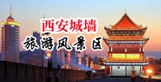 免费看大鸡巴逼逼中国陕西-西安城墙旅游风景区